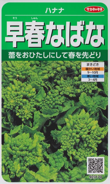 楽天市場】【ツケナ】葉からし菜【サカタのタネ】（10ml）野菜種[春まき][秋まき]922873 : Hana Uta 米沢園芸 楽天市場店