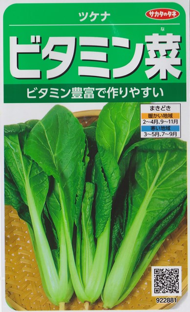 楽天市場】【ツケナ】みなとべかな【サカタのタネ】（10ml）野菜種[春まき][秋まき]922870 : Hana Uta 米沢園芸 楽天市場店