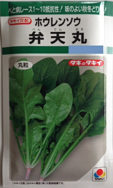 楽天市場】【ブロッコリー】シャスター【タキイ種苗】（1.3ml）野菜種[秋まき]DF : Hana Uta 米沢園芸 楽天市場店