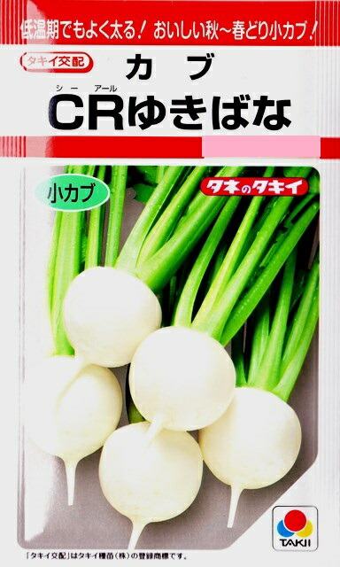 楽天市場】【カブ】スワン【タキイ種苗】（3.5ml）野菜種[秋まき][春まき]RF : Hana Uta 米沢園芸 楽天市場店