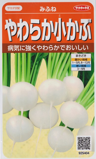 ネット限定】 かぶ ＣＲもちばな 20ml タキイ交配 globescoffers.com