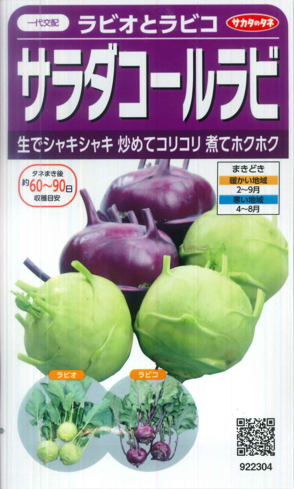 人気が高い トーホク あま いサラダビーツ 10ml 春まき 秋まき