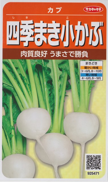 ネット限定】 かぶ ＣＲもちばな 20ml タキイ交配 globescoffers.com