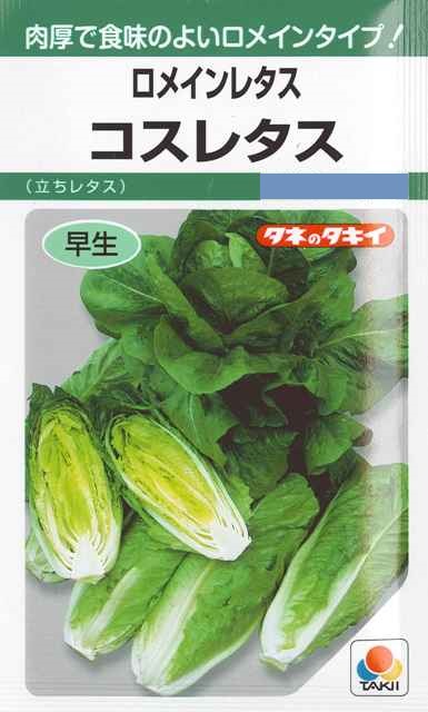 楽天市場】【スプラウト】レッドキャベツ【中原採種場】（35ml）野菜種[春まき][秋まき] : Hana Uta 米沢園芸 楽天市場店