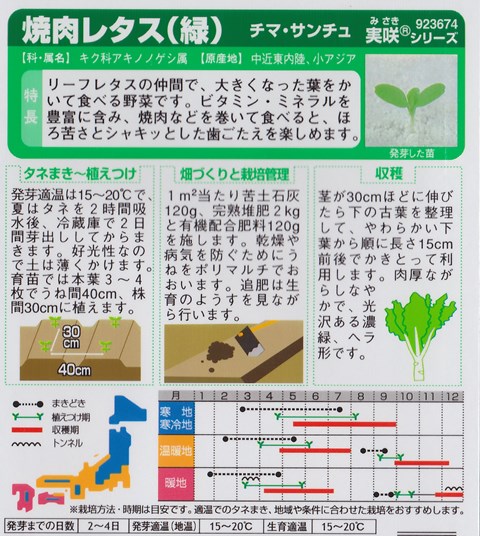 袋裏→クリックして拡大