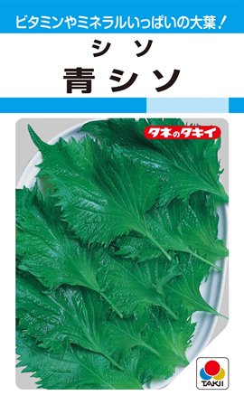 【シソ】青シソ 【タキイ種苗】（10ml）野菜種/青しそ[春まき]MF