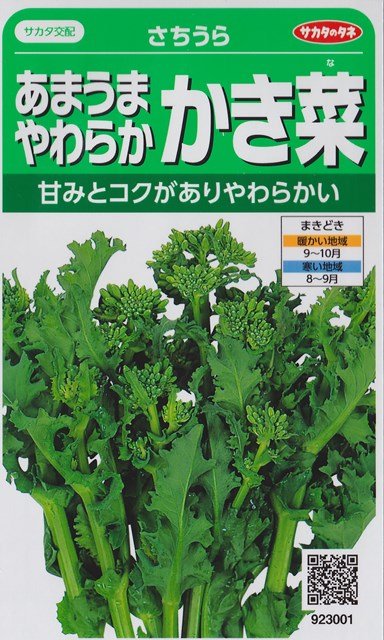 楽天市場】【ツケナ】葉からし菜【サカタのタネ】（10ml）野菜種[春まき][秋まき]922873 : Hana Uta 米沢園芸 楽天市場店