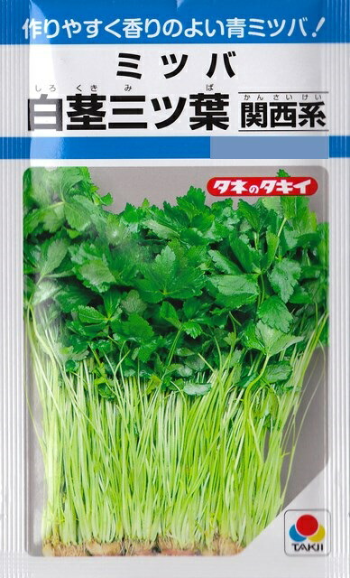 楽天市場】【スプラウト】レッドキャベツ【中原採種場】（35ml）野菜種[春まき][秋まき] : Hana Uta 米沢園芸 楽天市場店