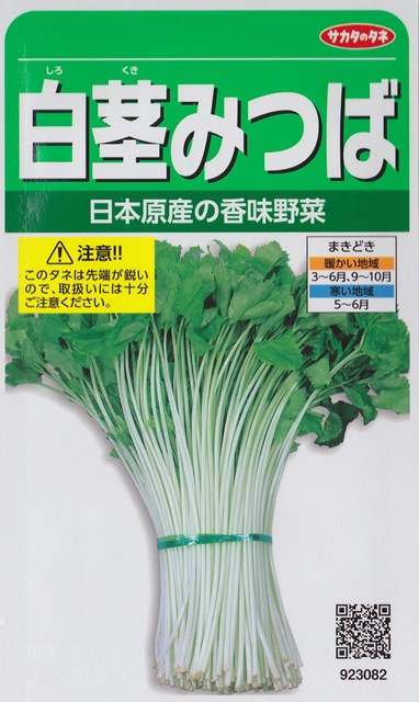 【ミツバ】白茎みつば 【サカタのタネ】（10ml）野菜種[春まき][秋まき]923082