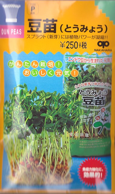 楽天市場】【スプラウト】アルファルファ【中原採種場】（40ml）野菜種[周年まき] : Hana Uta 米沢園芸 楽天市場店