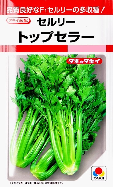 楽天市場 セロリ セルリー トップセラー タキイ交配 0 8ml 野菜種 春まき 秋まき Rf Hana Uta 米沢園芸 楽天市場店