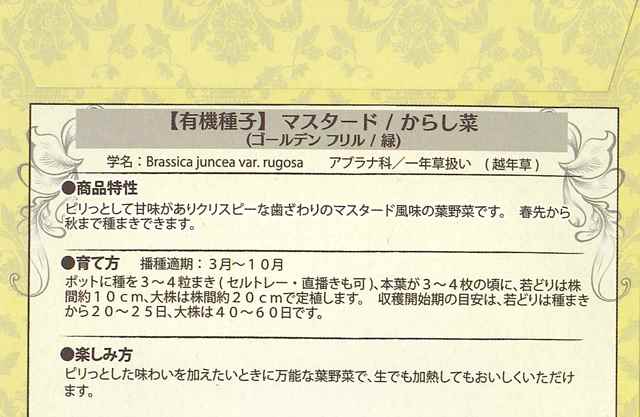 オーガニックシード 有機種子 緑マスタード からし菜 ゴールデンフリル 0.8g 300-400粒 固定種 誕生日/お祝い