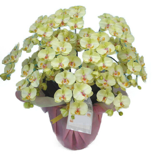 送料無料 造花 光触媒 光触媒 ｍ 10本立ち花 ガーデン Diy 10本立ち 渥美洋らんセンタースズキラン園本物そっくりで生花と間違うほど精巧です 胡蝶蘭 大輪 胡蝶蘭 ライトグリーン