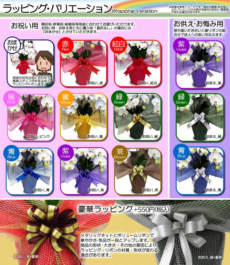 お供えオンシジュームアロハイワナガ3本立ちアーチ仕立て
