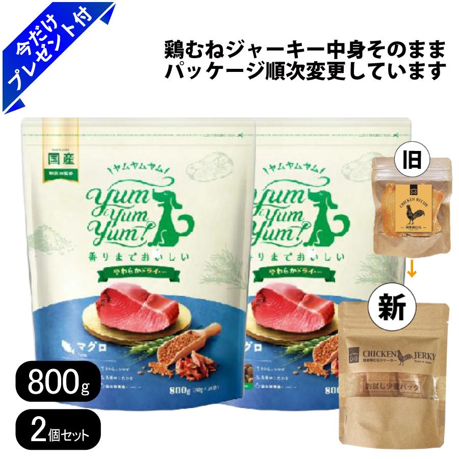 ヤムヤムヤム 鮪 やわらか素っ気ない手合い 800g 2個仕掛ける 国産鶏むねジャー足懸かり付き添い人 素粒子 ドッグフード Yum Yum Yum! 国産 まぐろ