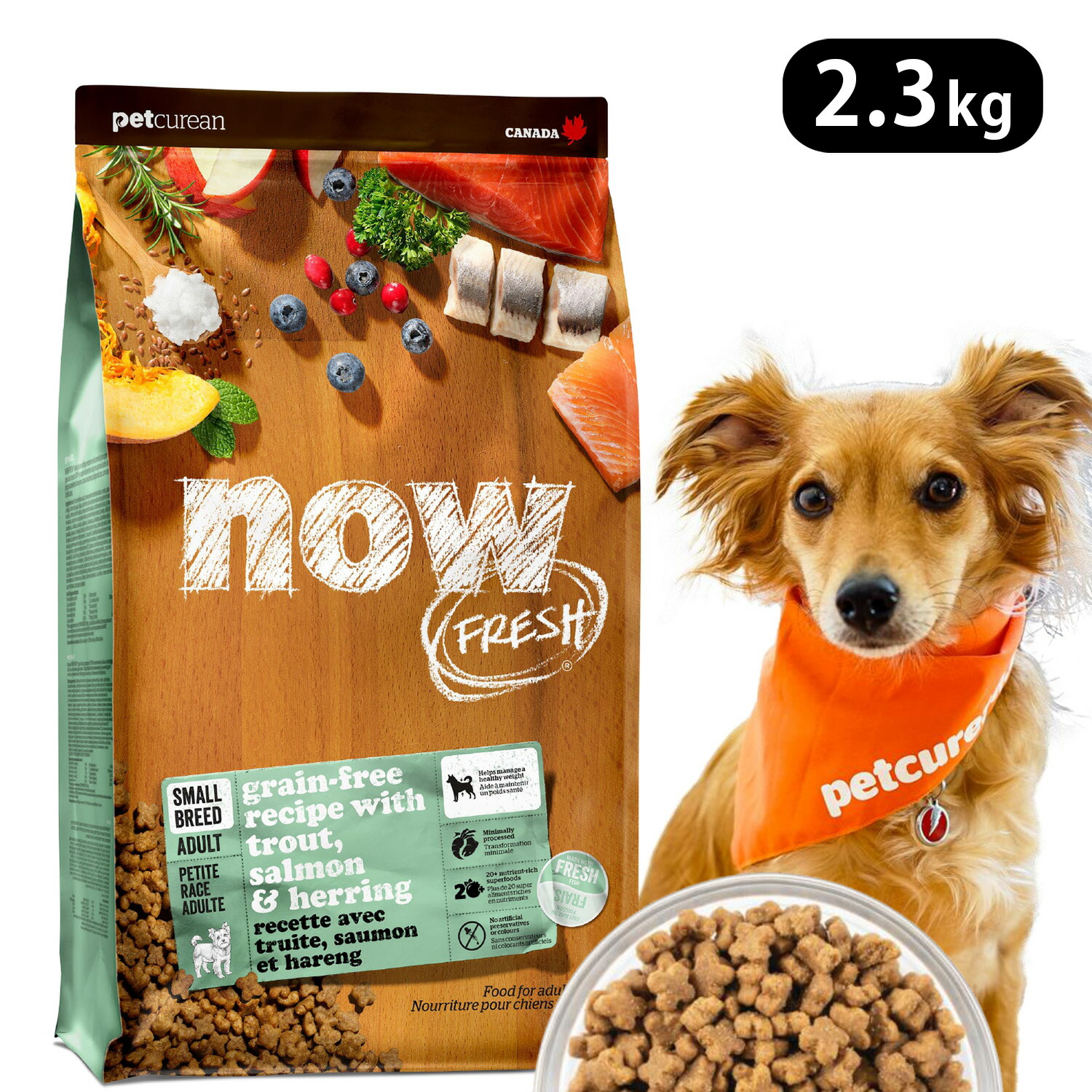 楽天市場】【P10倍】【ナウフレッシュ NOW FRESH】グレインフリー