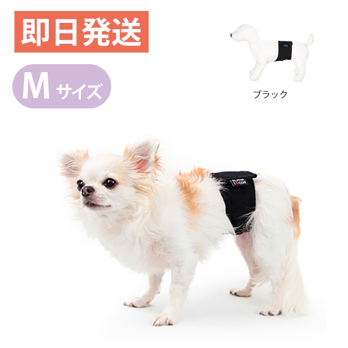 楽天市場 アルファアイコン マナーバンド ブラック Sサイズ 小型犬 お出かけ用に マーキング防止 ヨリアイdogs