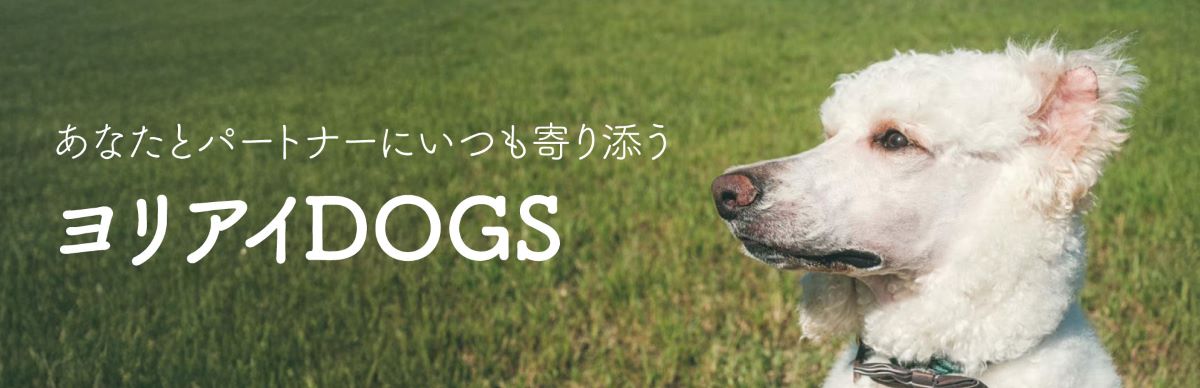 ꥢDOGSڥåȥաɡץȡåΤŹ