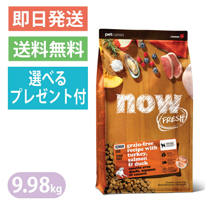 ナウ生新しい グレインフリー 年がしら＆ウェイトマネジメント 9.98kg 平平凡凡たる粒 レギュラー粒 ドッグフード NOW FRESH 体量管理すること 選べる差し上げ物付き添い人