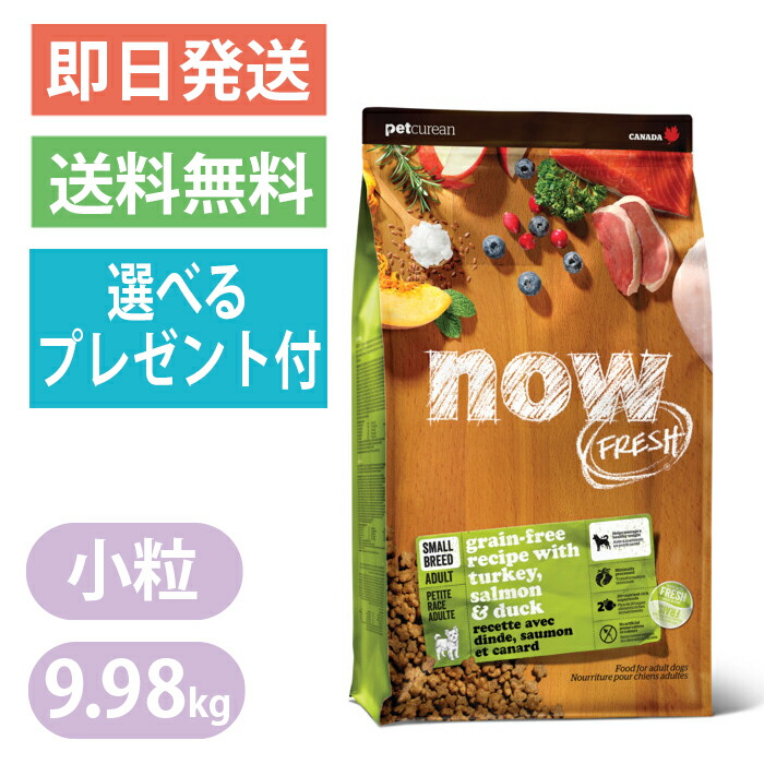ナウ生新しい グレインフリー スモールブリード 成年者 9.98kg 素粒子 ドッグフード NOW FRESH 選べる差し上げ物付き添い人