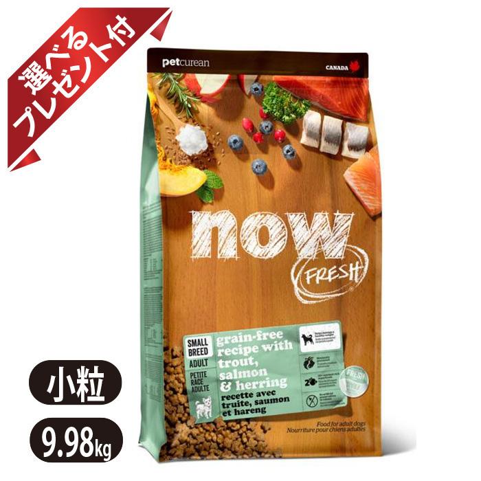 ナウ生新しい グレインフリー スモールブリード 魚肉 成年者 9.98kg 素粒子 ドッグフード NOW FRESH 選べる差し上げ物付き添い人