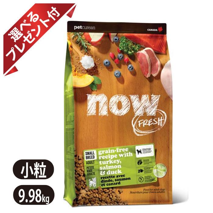 ナウフレッシュ グレインフリー スモールブリード アダルト 9.98kg 小粒 ドッグフード NOW FRESH 選べるプレゼント付き
