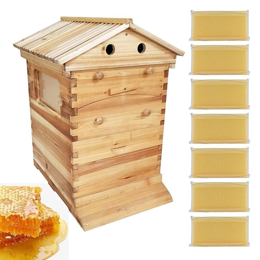 蜂鳥小屋 蜜蜂鳥小屋 養蜂箱 鳥小屋 蜂箱 フローハイブ養蜂仕掛ける 蜂繁殖箱 巣箱 蜜蜂繁殖箱 蜜蜂育てる 蜜蜂の採蜜 巣礎