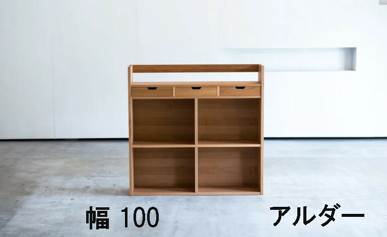 杉工業プラント シェルフ クッカ 幅100 幅110 アルダー材 ウォール中毒者材 貨物輸送無料 書物棚 調度品のよろこび 【店先受け取り証書相応う商いもの】