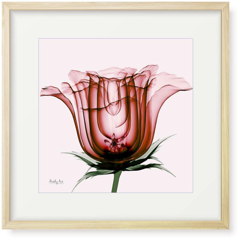 図面「真っ赤薔薇」室内装飾 絵 花 工芸ダイアログボックス 額入り口・入口