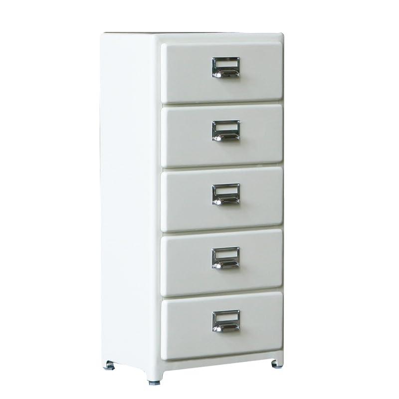 ダルトン(Dulton) 納める棚 5ドロワーズ 用だんす高さ890×幅400×奥ふかさ300粍 5 DRAWERS CHEST