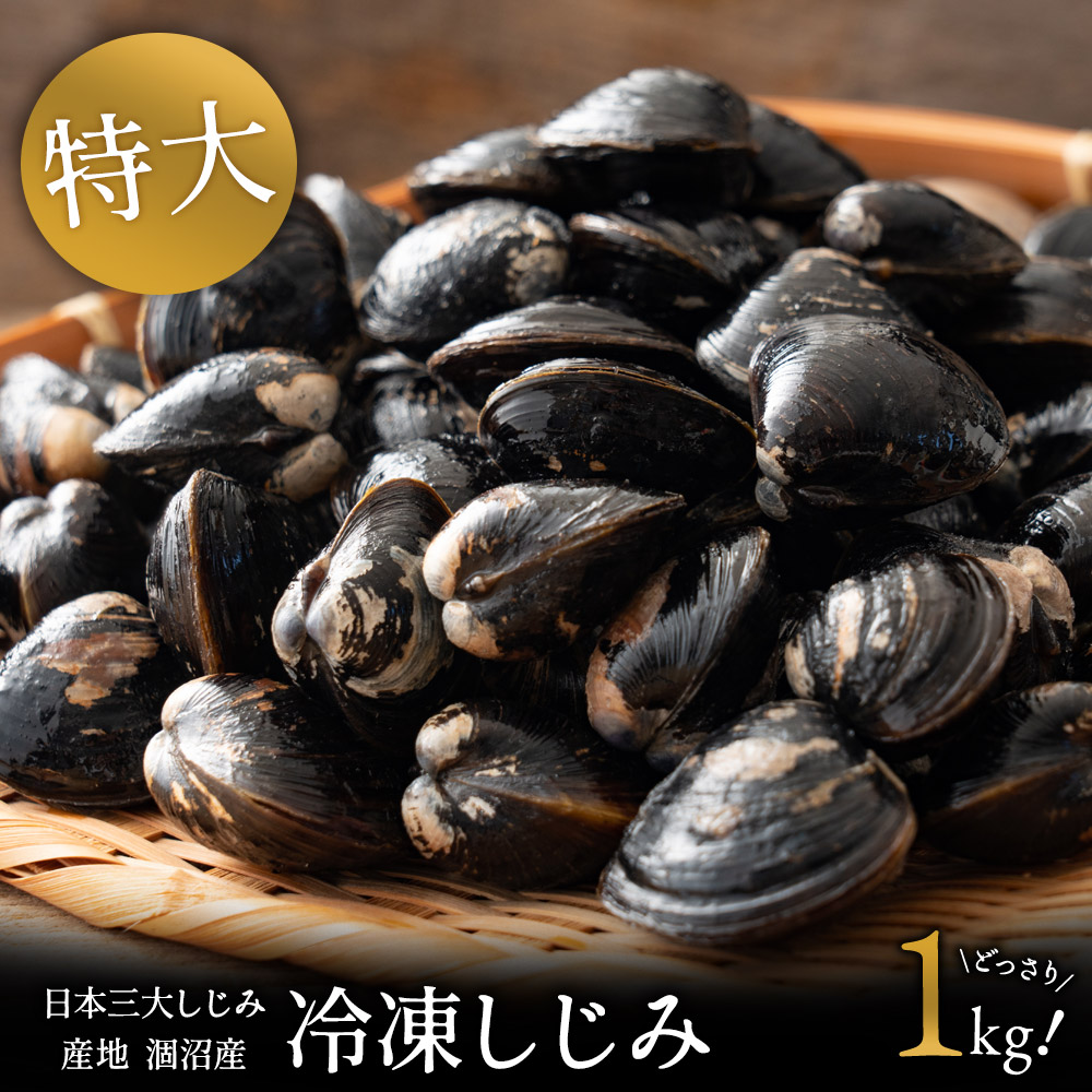 sjmt-img1-1kg.jpg