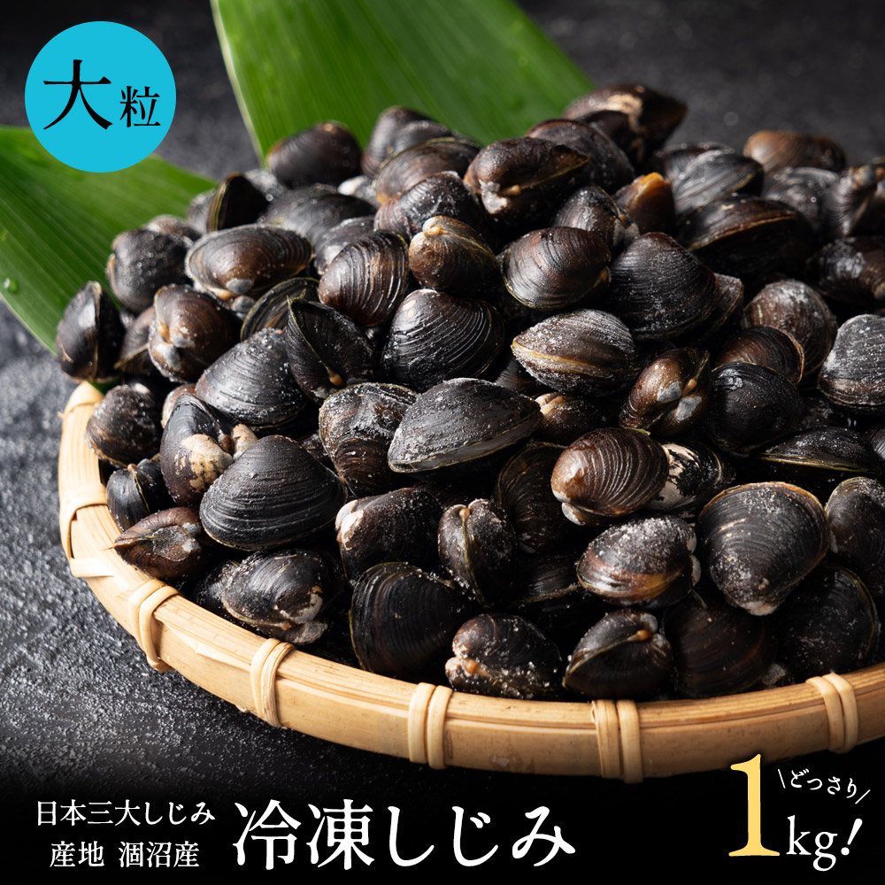 【楽天市場】涸沼産 冷凍しじみ 特大 1kg(砂抜き済み):よろずしじみ屋