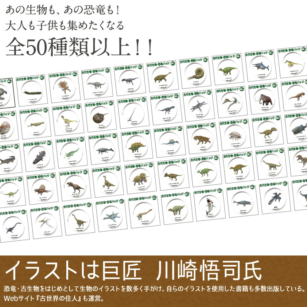 楽天市場 1000円以上で送料無料 恐竜 古代生物 缶バッジ Or キーホルダー Or マグネット 丸型56mm クロノサウルス 缶バッチ グッズ アクセサリー プレゼント おもしろ 父の日 母の日 七五三 節句 入園 入学 卒業 卒団 おもしろ名入れ よろずやデザイン