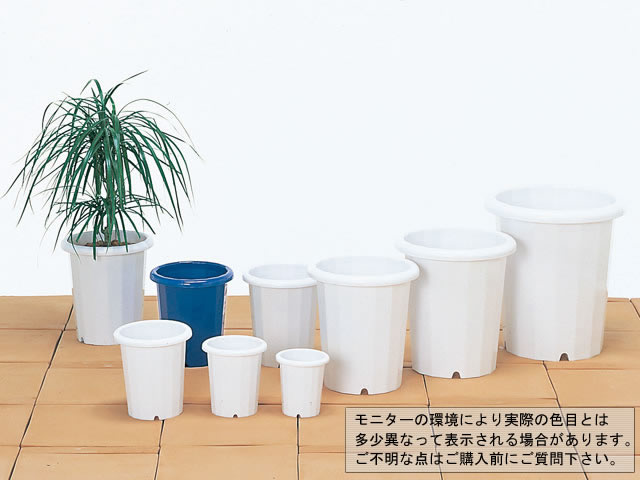 楽天市場】長鉢L12号/P12【長鉢】ポット・鉢 プラスチック おしゃれ