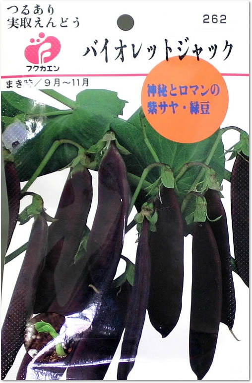 楽天市場】フクカエン 結球はくさい 愛知白菜の種（タネ）【メール便OK】【野菜のタネ】 : よろずや倉庫