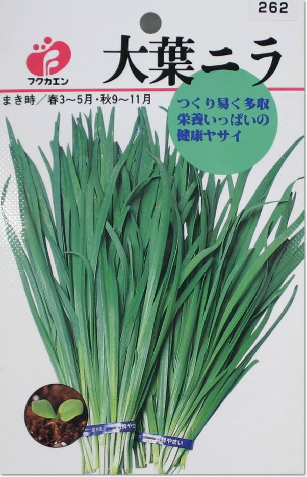 【楽天市場】にら・大葉ニラの種(タネ)【メール便OK】:よろずや倉庫