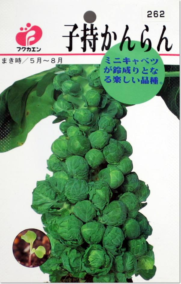 楽天市場】フクカエン ミニトマトの種（タネ）【メール便OK】【野菜のタネ】 : よろずや倉庫