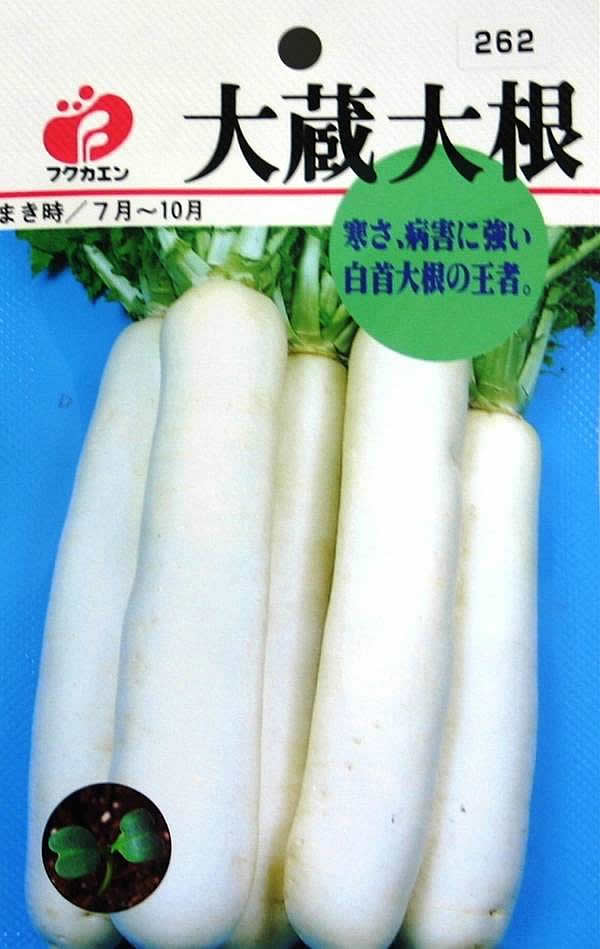 【楽天市場】大蔵大根 種(タネ)【メール便OK】:よろずや倉庫