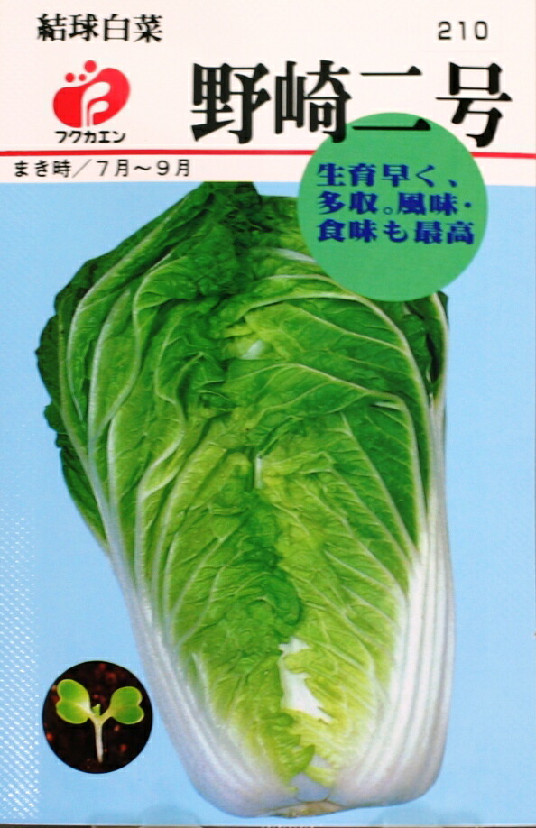 楽天市場】フクカエン 丸葉小松菜の種（タネ）【メール便OK】【野菜のタネ】 : よろずや倉庫