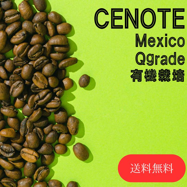 オーダー焙煎 コーヒー豆 送料無料 メキシコ セノーテ 有機栽培 Qグレード スペシャリティコーヒー シングルオリジン