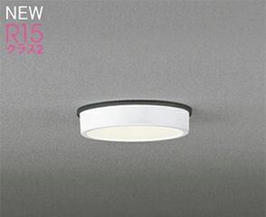オーデリック 軒下用上昇限度ともし火 OG254516RS OG254515RS 象牙色 白熱電球・昼白いこと 高温発光灯手道具100W好いかげんに