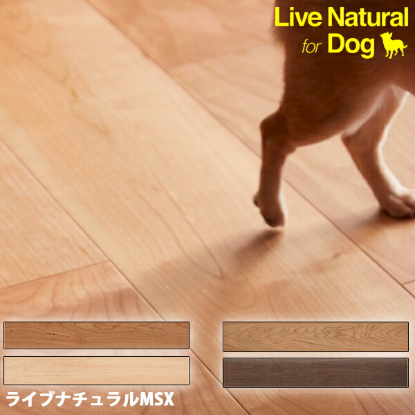 Dog woodページ 楽天市場】朝日ウッドテック フローリング ライブナチュラル MSX-L