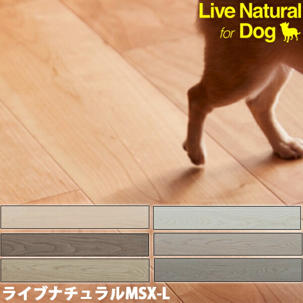 朝日ウッドテック フローリング ライブナチュラル MSX-L ネダレス145 for Dog 1坪（3.16平米）/1梱 床暖房対応 厚み13.5mm 防音LL-40 犬にやさしい滑りにくさを実現 ハイジェニック仕様