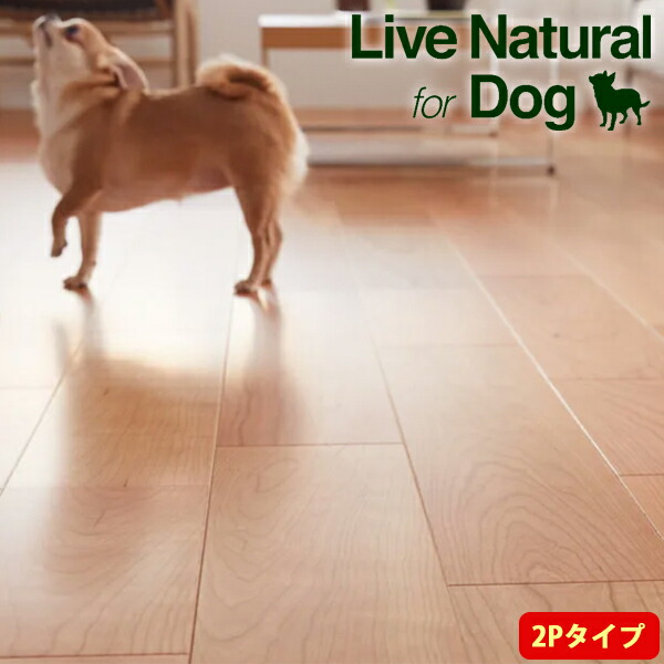 朝日木材テック フローリング ライブ自然的 MSX 百貨店6 for Dog 2P印字機 1坪（3.3平米）/1梱 床暖房装置相応う 奥ふかさ6.4粍 耐凹み傷 犬に分かりやすい滑りにくさを現実化 ハイジェニック遣りかた