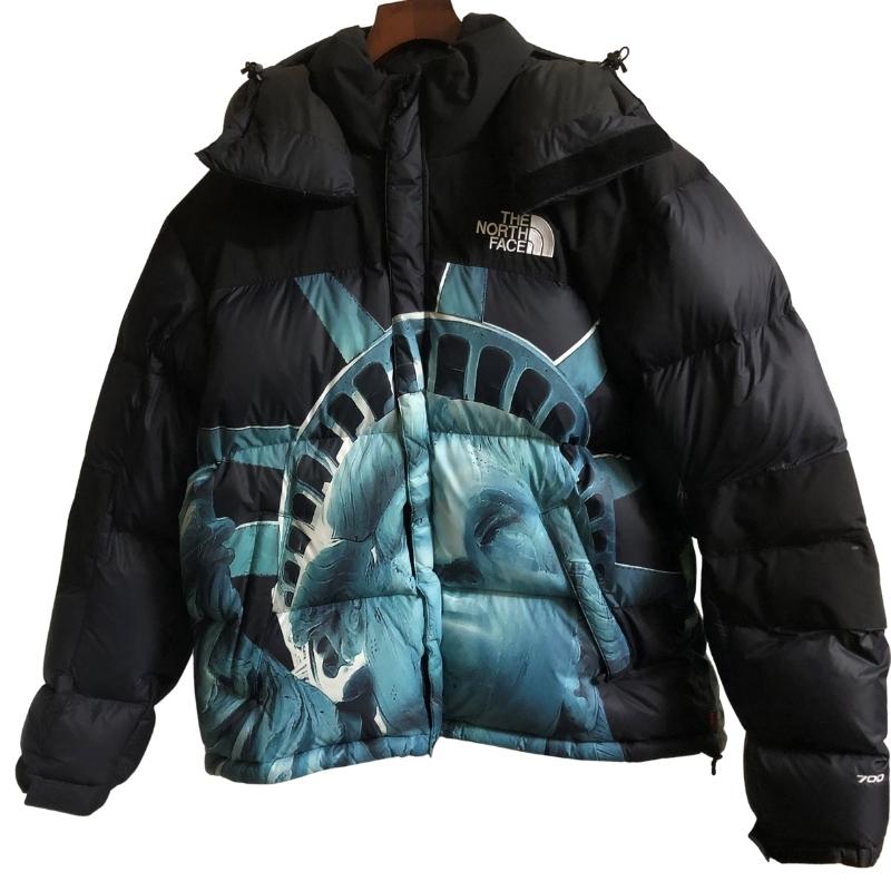 最新デザインの THE NORTH FACE Supreme BALTORO JACKET ノース