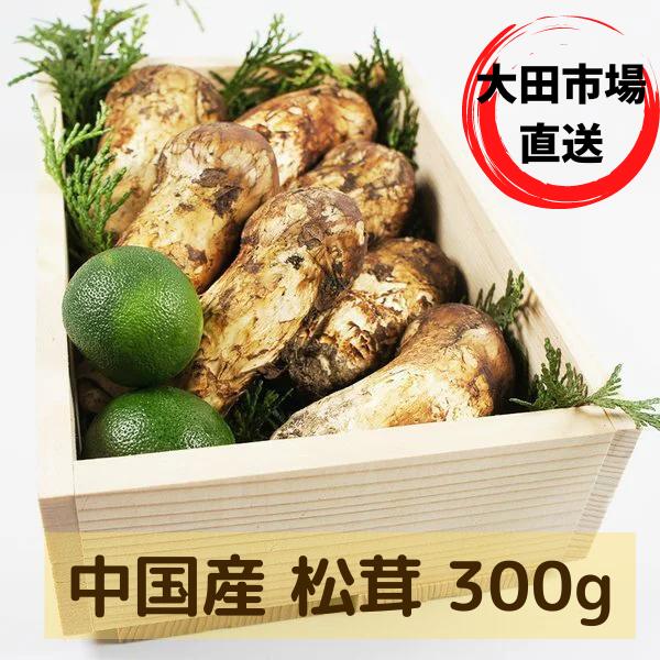 北海道　松茸　300g ② 松茸 300g」の人気商品一覧 | 安い商品を通販サイトから探す
