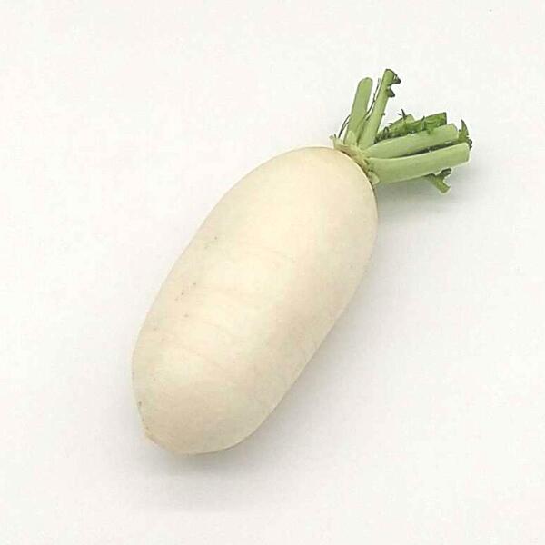 楽天市場】辛味大根〈カラミダイコン〉1本、120g〜200g前後 : 【築地