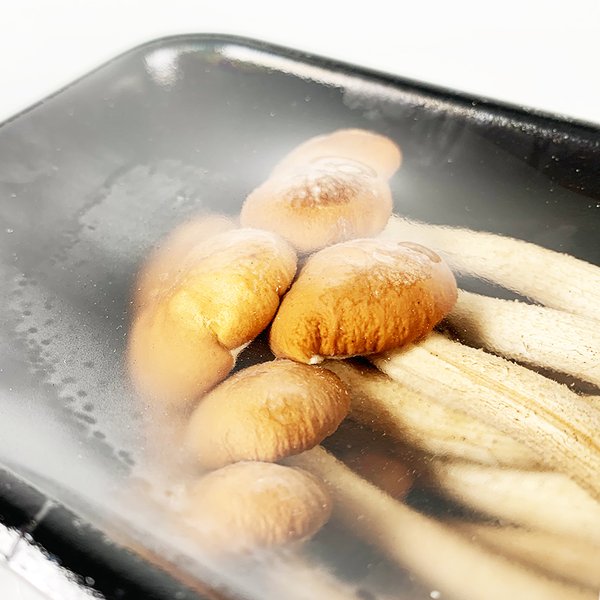 楽天市場】石川県 能登産 能登松茸 のとまつたけ 350g 21,000円 13本入