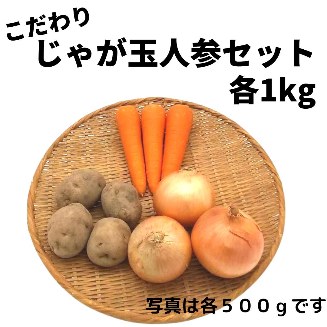 楽天市場】【定番野菜セット11品】（キャベツ・大根・玉葱・胡瓜