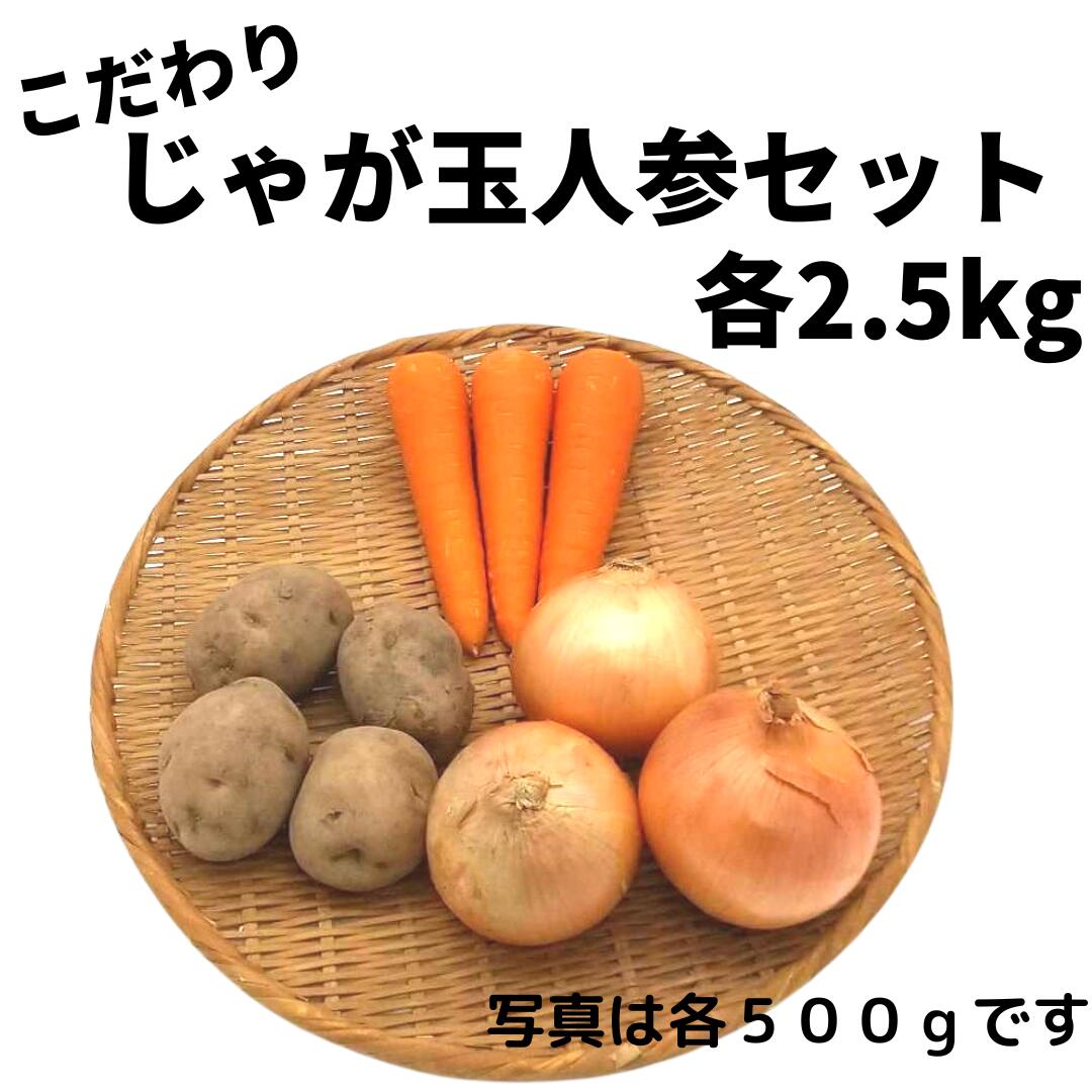 野菜セットA（キャベツ1玉・ピーマン約500g・にんじん約1kg）3種